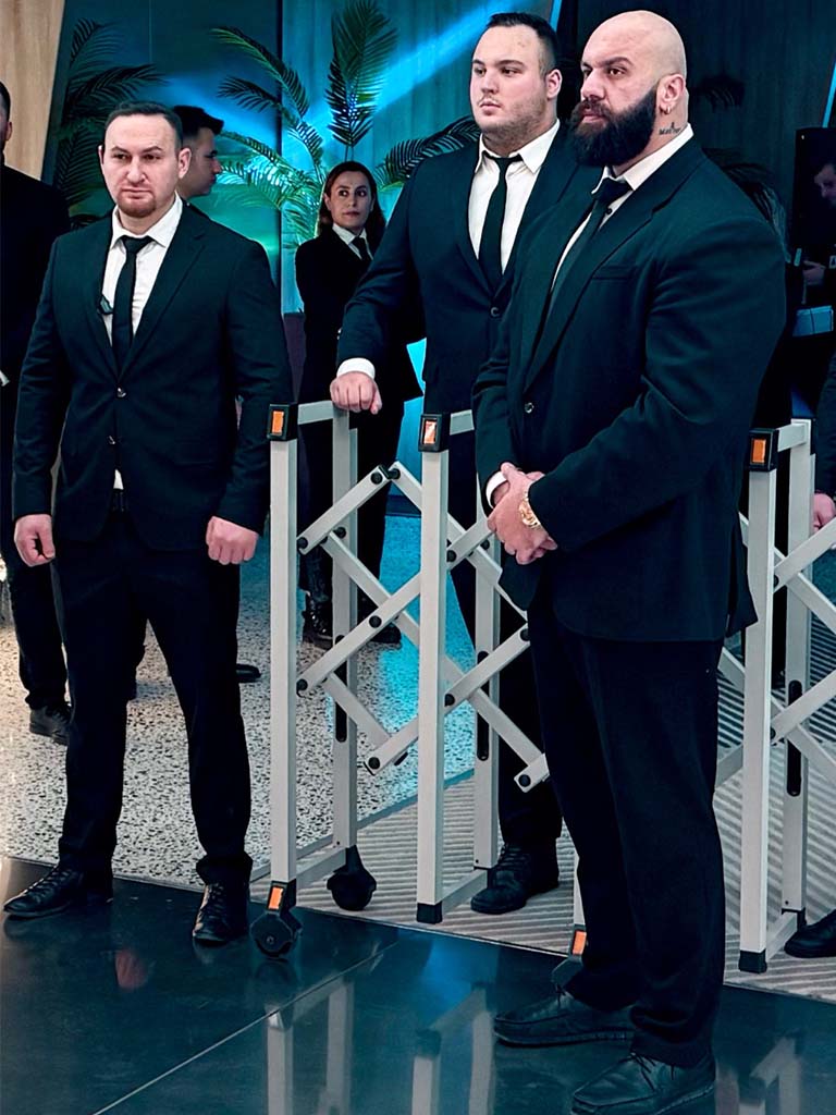 Festival security